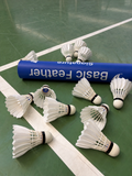 Basic Feather Signature shuttles and tube
